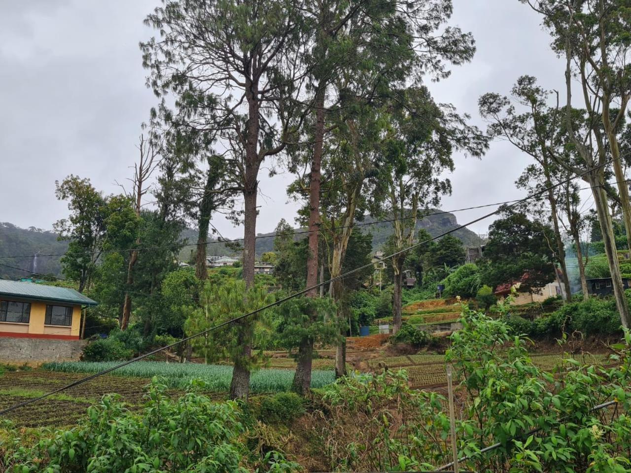 Sasru Holiday Home Nuwara Eliya Exterior foto